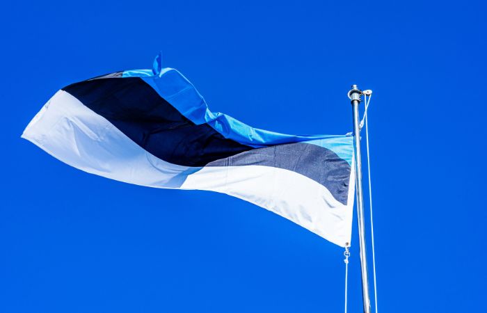 4C Offshore | Estonia's CPTRA announces no bids in Saare 3 area auction