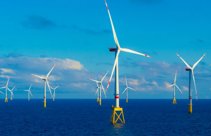 World Bank Group highlights offshore wind potential in Brazil